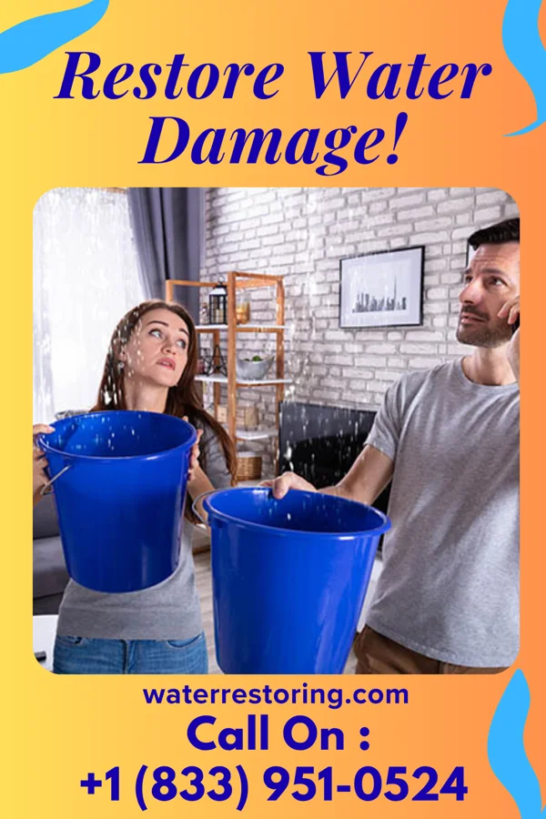 water restoration New Sewage Cleanup Experts Volin