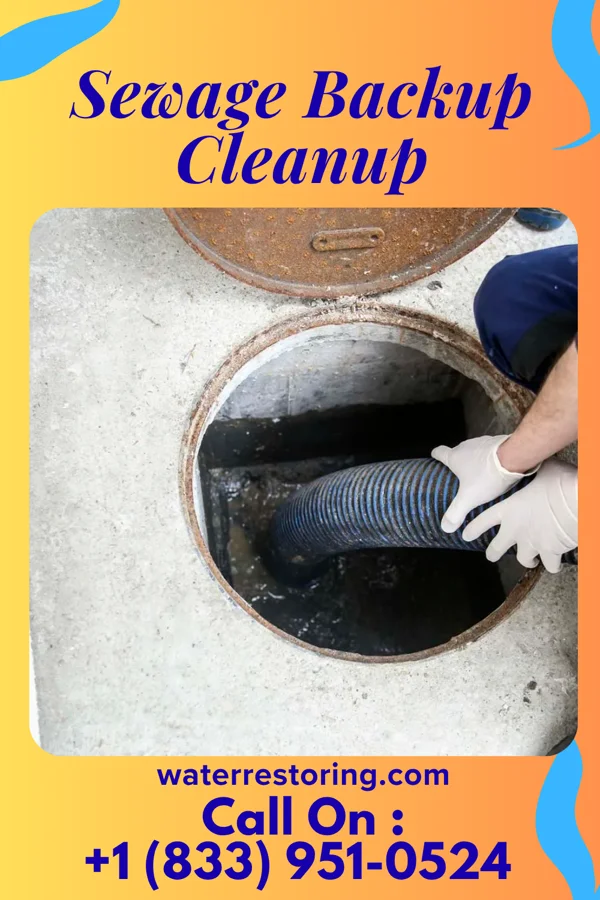 Sewage Backup Cleanup in Volin, SD